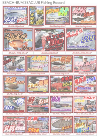 BEACHBUMフィッシングレコード